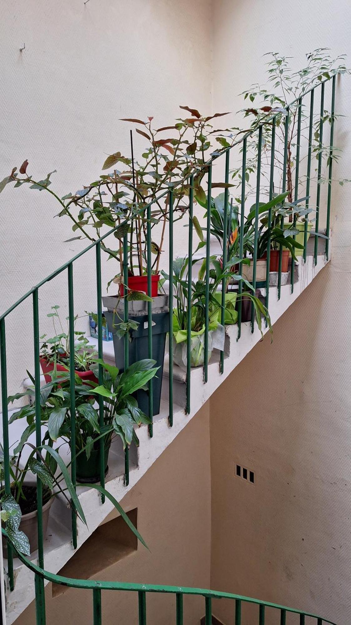 Vacance Et Cure Dans Duplex 80 M2 A Ceret 66400 מראה חיצוני תמונה